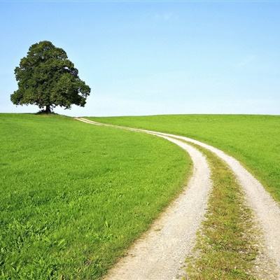 牛牛游戏网下载手机版