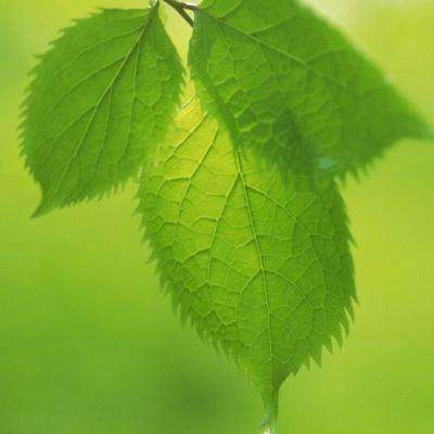 打扑克下载软件