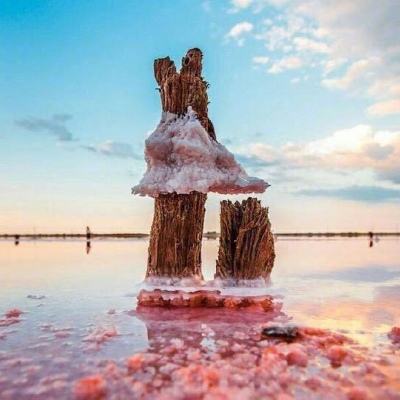 江南官方网站下载app下载截图