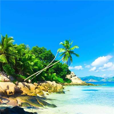 开yun体育官网入口登录苹果