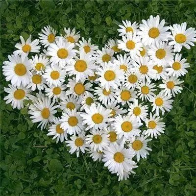 斗牛手机游戏截图